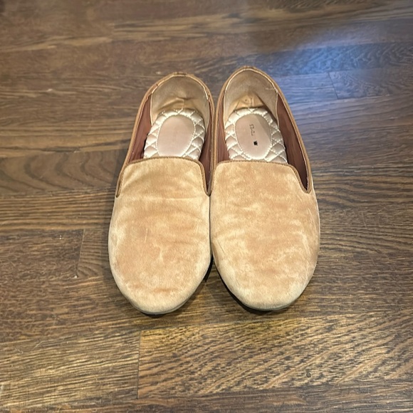 birdies the starling shoe